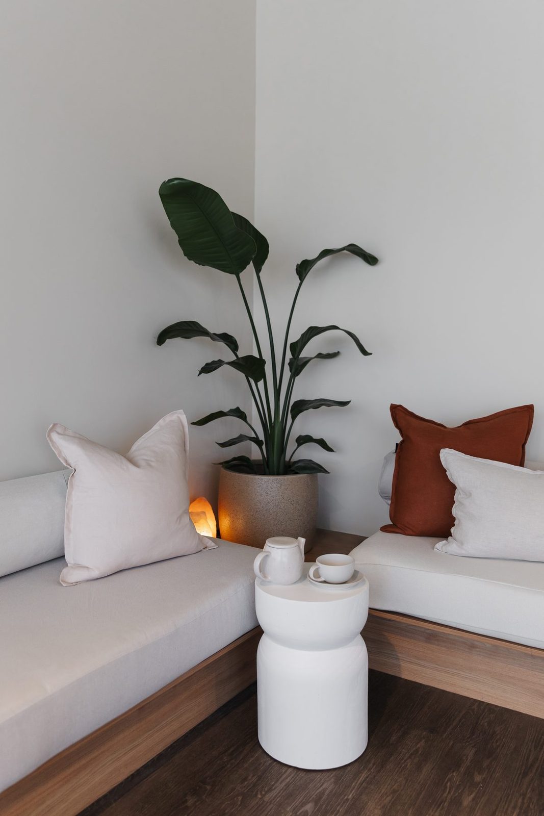 LUMA Wellness Initiative